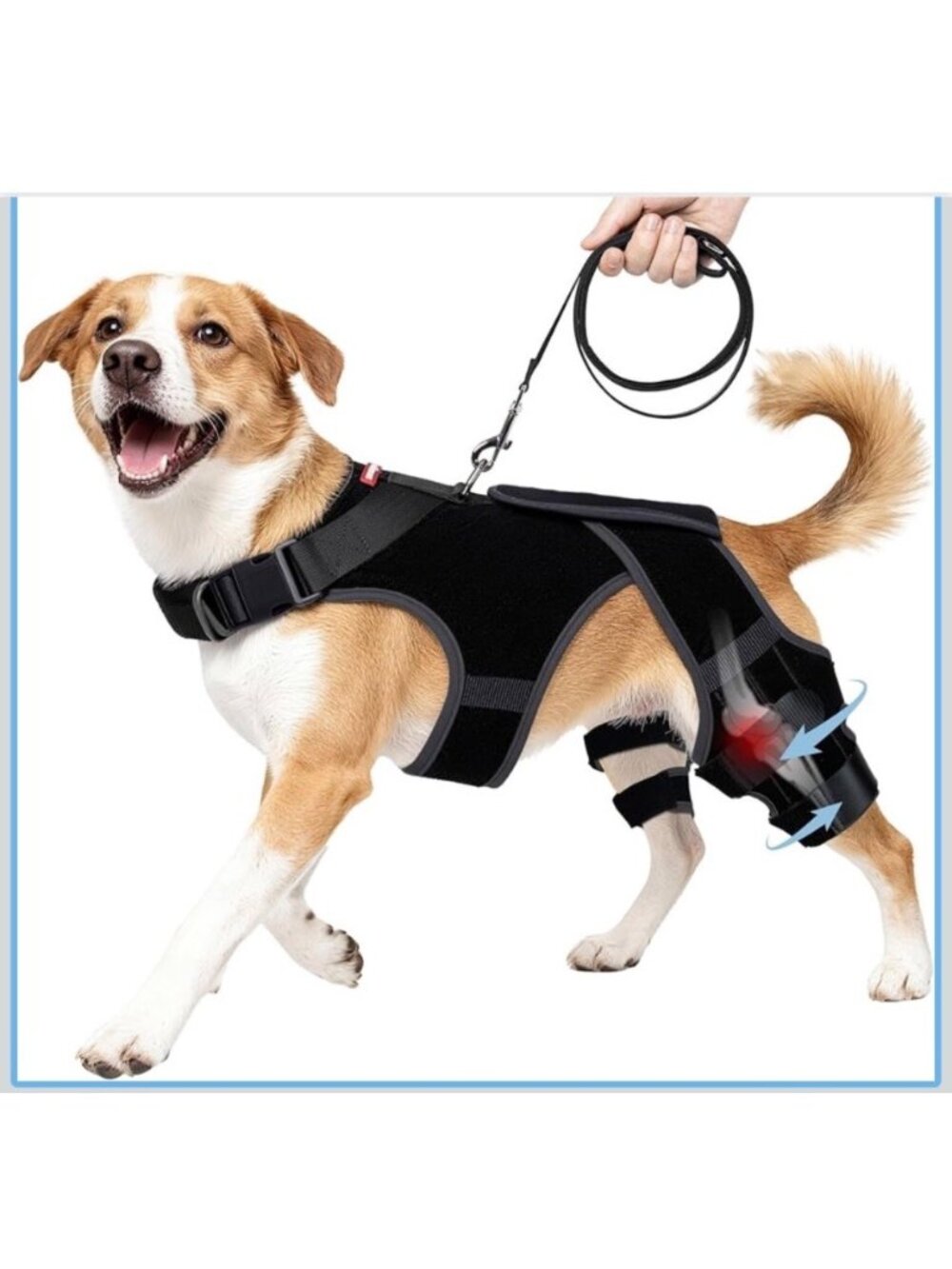 Dog Knee Brace Harness For ACL Injury Support Large Size Adjustable Straps Black